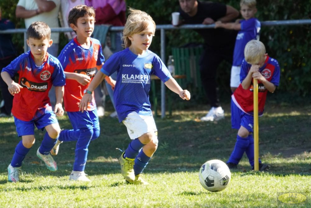 u7-stfv-goesting-0310261