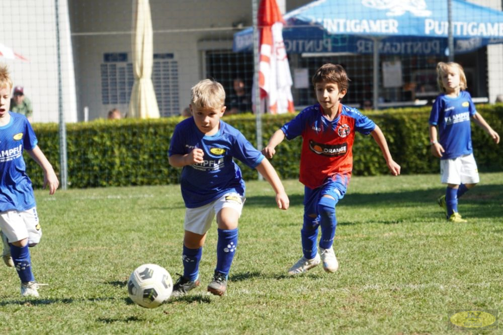 u7-stfv-goesting-0310262