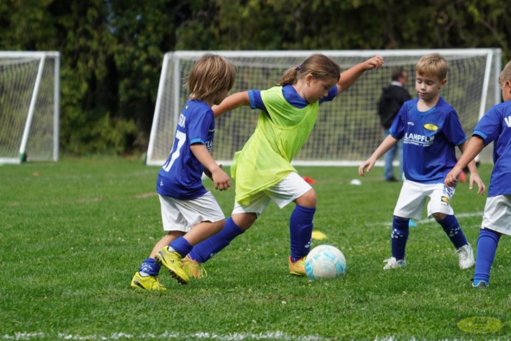 u7-stfv-goesting-1909261
