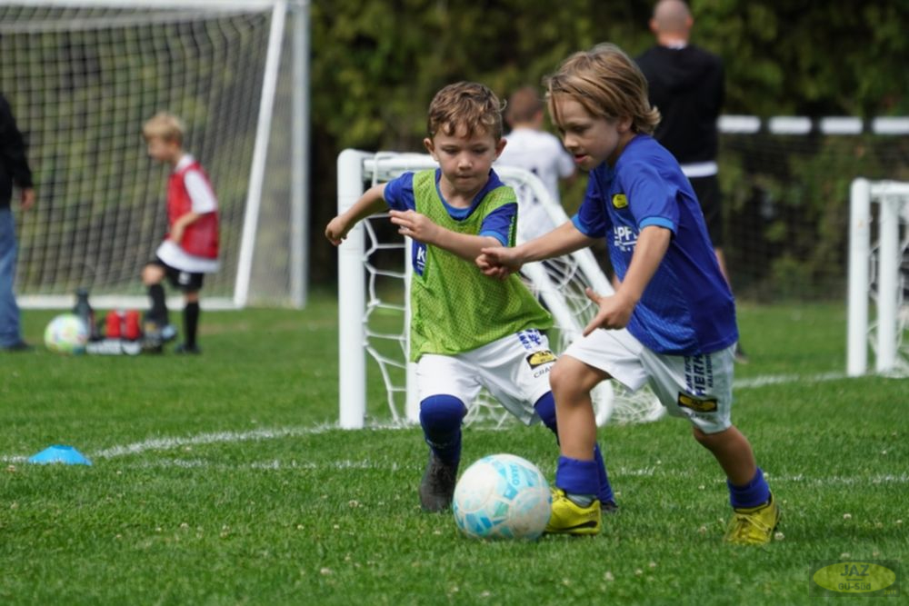 u7-stfv-goesting-1909262