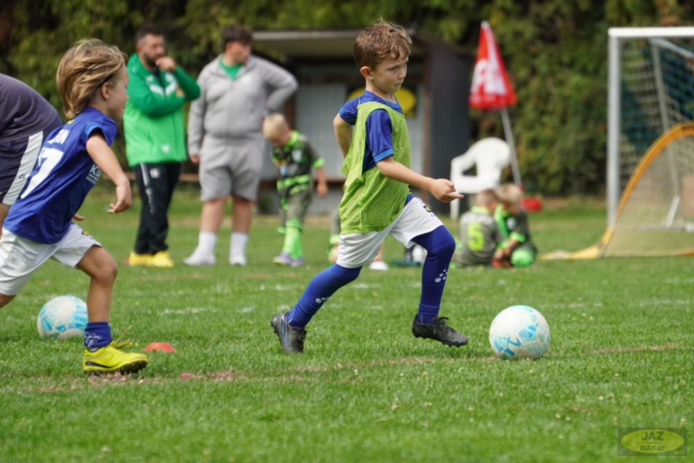 u7-stfv-goesting-1909263
