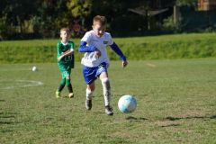 u8-stfv-goesting-0310261