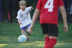 u8-stfv-goesting-03102610