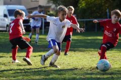 u8-stfv-goesting-03102611