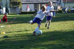 u8-stfv-goesting-03102612