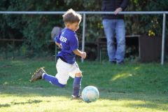 u8-stfv-goesting-03102613