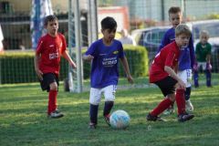 u8-stfv-goesting-03102614