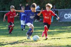 u8-stfv-goesting-03102615