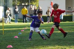 u8-stfv-goesting-03102616