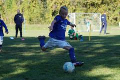 u8-stfv-goesting-03102618