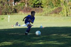 u8-stfv-goesting-03102619
