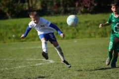 u8-stfv-goesting-0310262