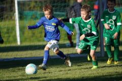 u8-stfv-goesting-03102620