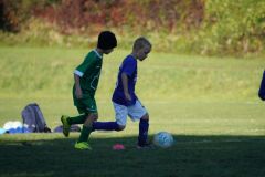 u8-stfv-goesting-03102621