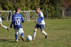 u8-stfv-goesting-0310263