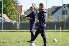 u8-stfv-goesting-0310264