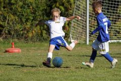 u8-stfv-goesting-0310265