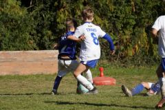 u8-stfv-goesting-0310266
