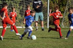 u8-stfv-goesting-0310268
