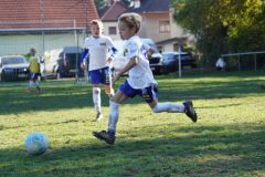 u8-stfv-goesting-0310269