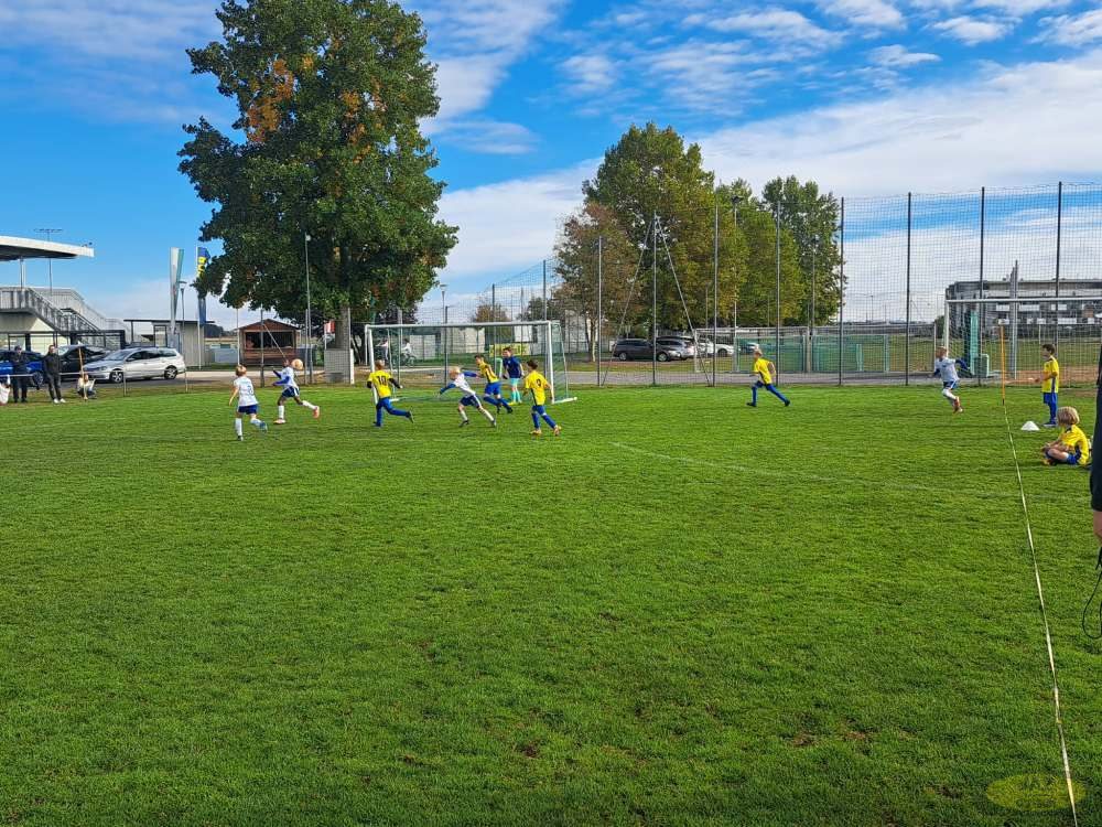 a81a74bc-e474-422c-8706-9d28a18095d1